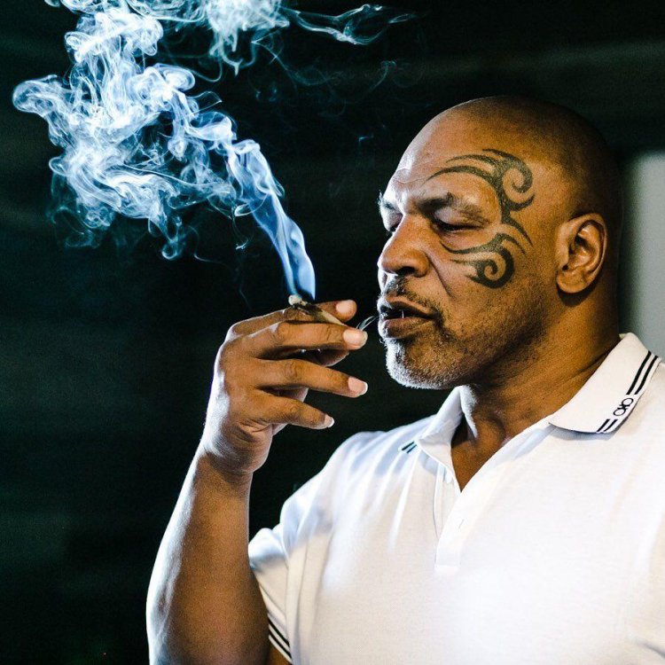 Mike Tyson admits being high on cannabis before bust-up with fan 