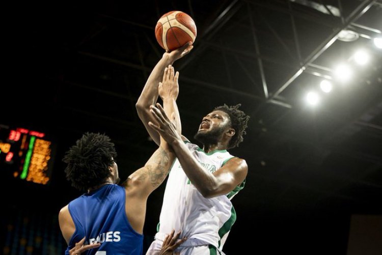 FIBA World Cup qualifiers: Coach reveals why D'Tigers lost to Cape Verde