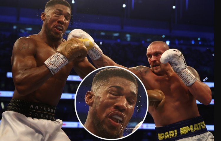 Tyson Fury, Usyk's sparring partner says Joshua will be battered in next month's rematch
