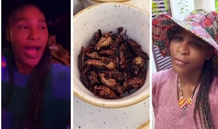 Serena serves friends cockroaches at dinner