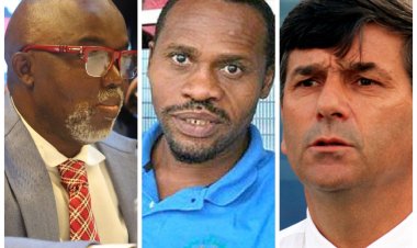 Ezeugo blames Westerhof’s shenanigans, Pinnick and journalists for Nigeria's football woes
