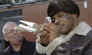 Mike Tyson flies 10,000 kilometers from Las Vegas to Poland village to buy 100 pigeons