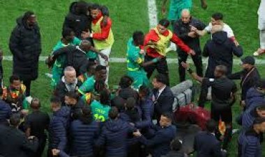 Morocco court sends Senegalese fans to jail for AfCON final vandalism in Rabat